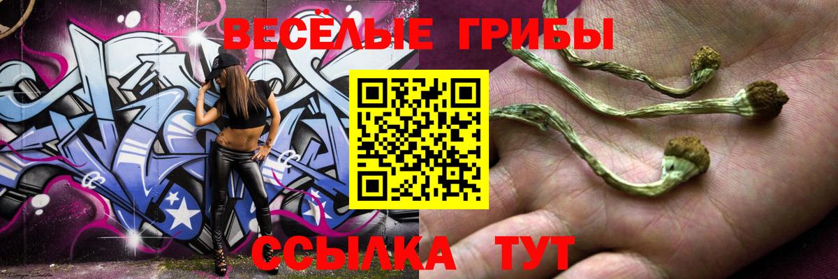Галлюциногенные грибы Psilocybe Стерлитамак