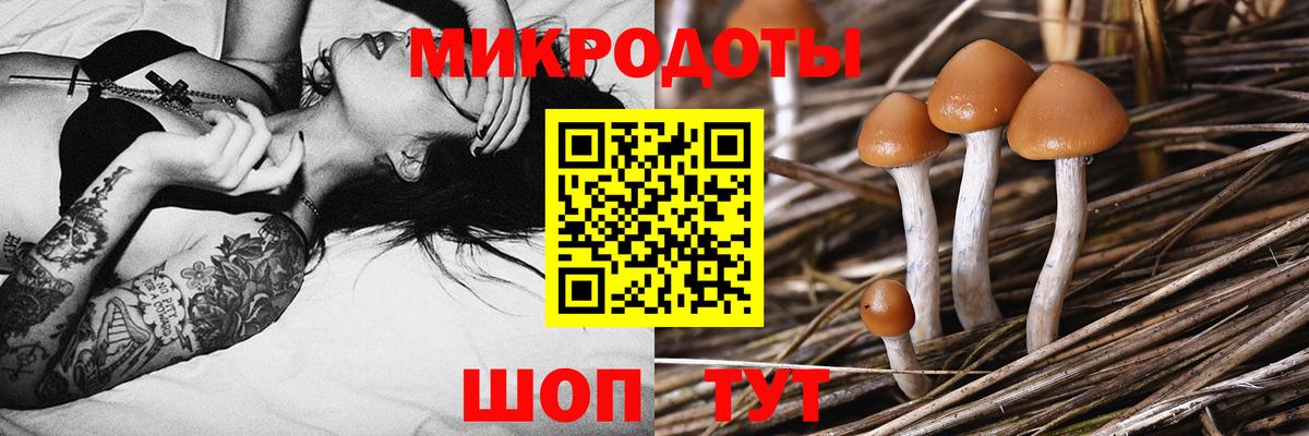 Псилоцибиновые грибы ЛСД  Вход с VPN  Стерлитамак 
